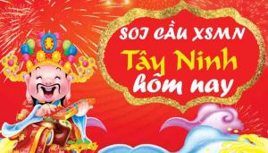 Dự đoán XSTN